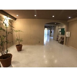 新富町駅 徒歩5分 2階の物件内観写真